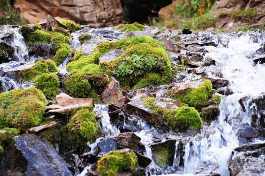 Rock Water